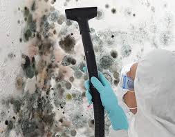 Best Forensic Mold Investigation  in East Syracuse, NY